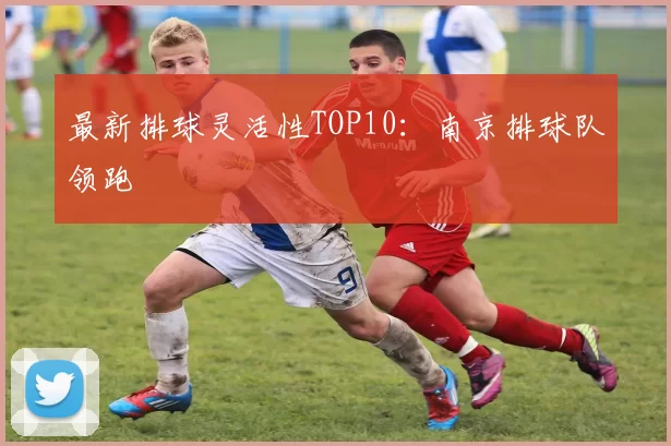 最新排球灵活性TOP10：南京排球队领跑