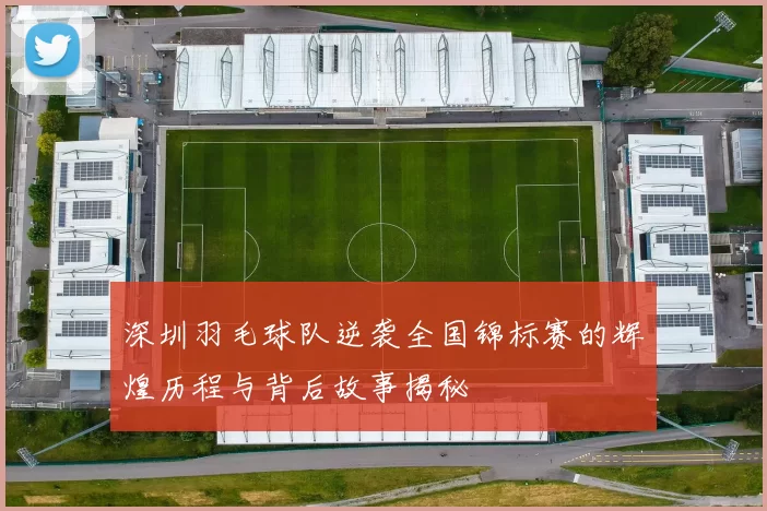 深圳羽毛球队逆袭全国锦标赛的辉煌历程与背后故事揭秘