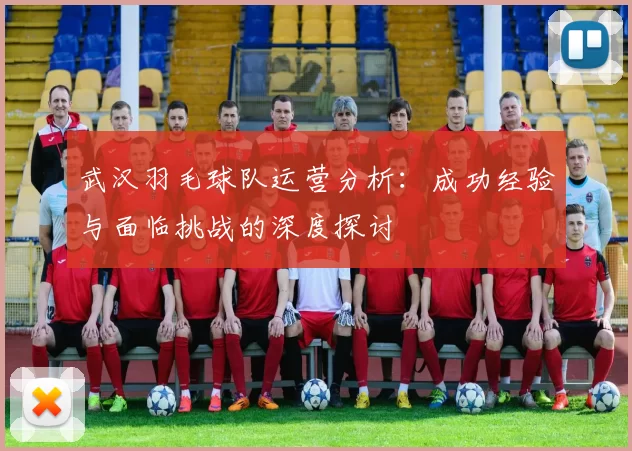 武汉羽毛球队运营分析：成功经验与面临挑战的深度探讨