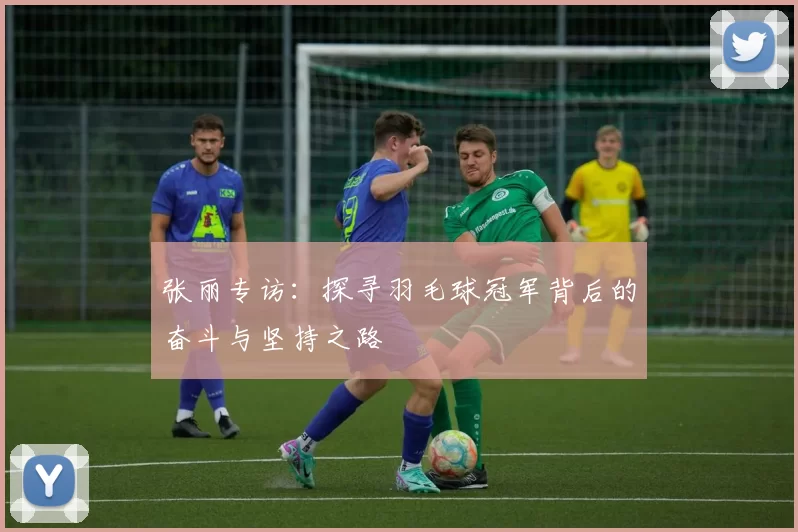 张丽专访：探寻羽毛球冠军背后的奋斗与坚持之路